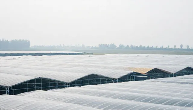 成果转化方案：使用与维护建议